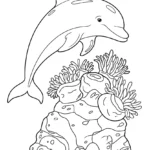 Dolphin Coloring Pages