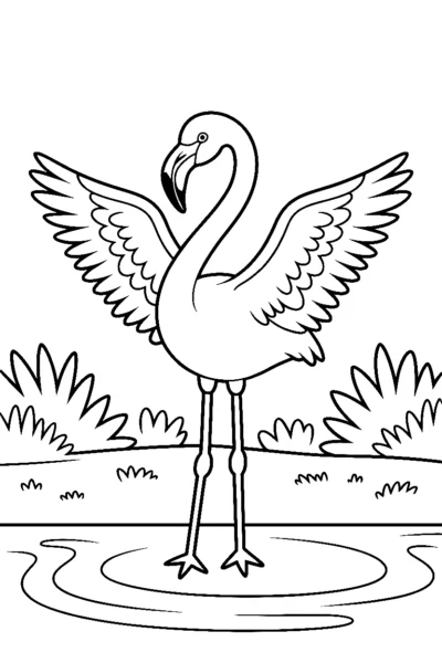 Flamingo Coloring Pages