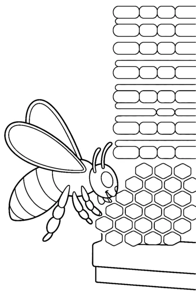bee hive arranging drawing