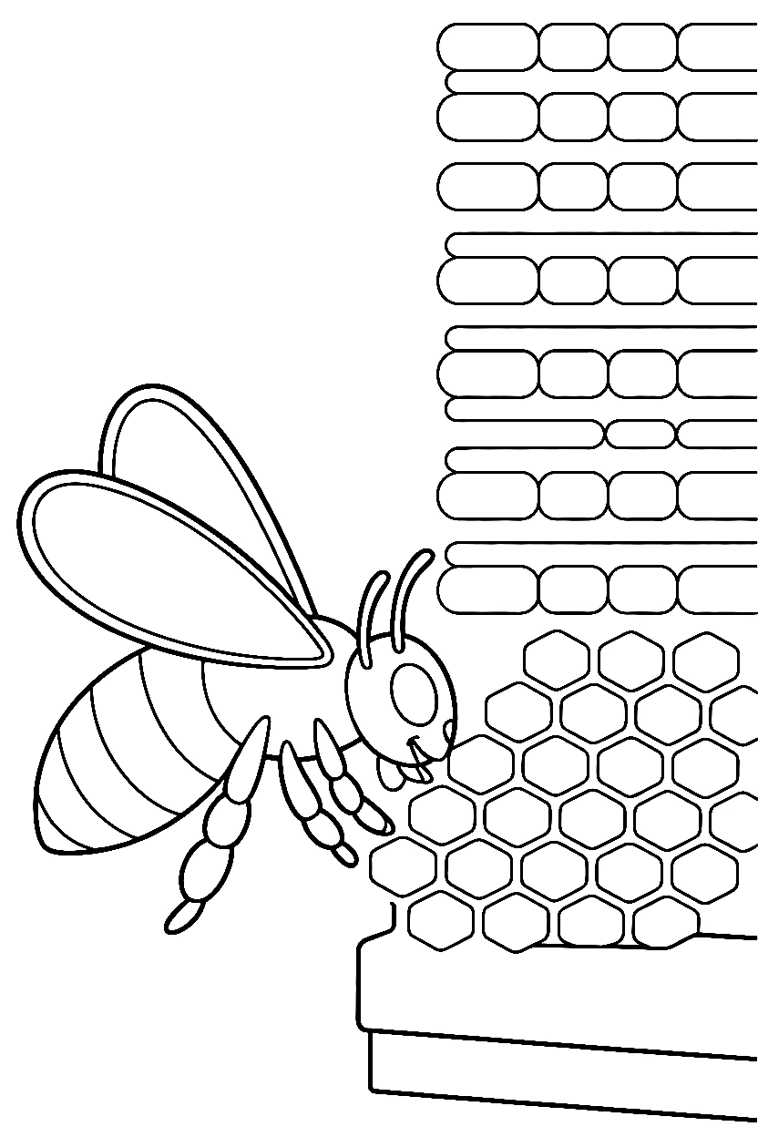 bee hive arranging drawing bee hive arranging drawing