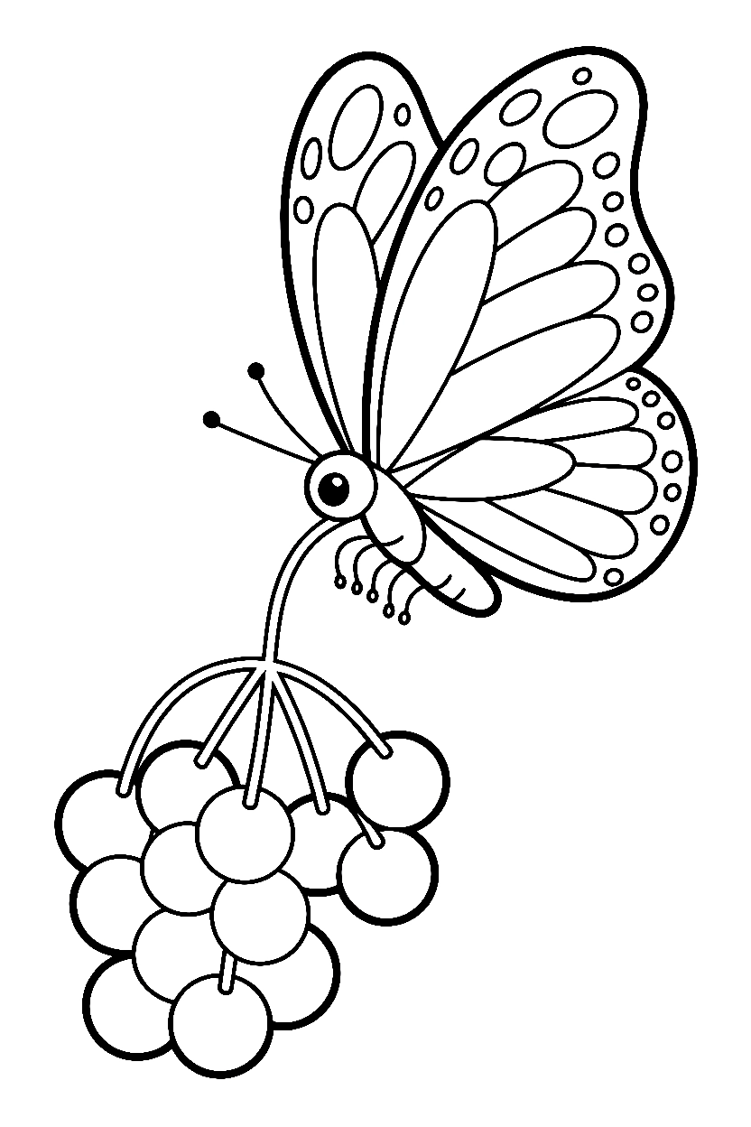 butterfly reaching berries coloring pages