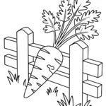 carrot-coloring-pages-against-fence