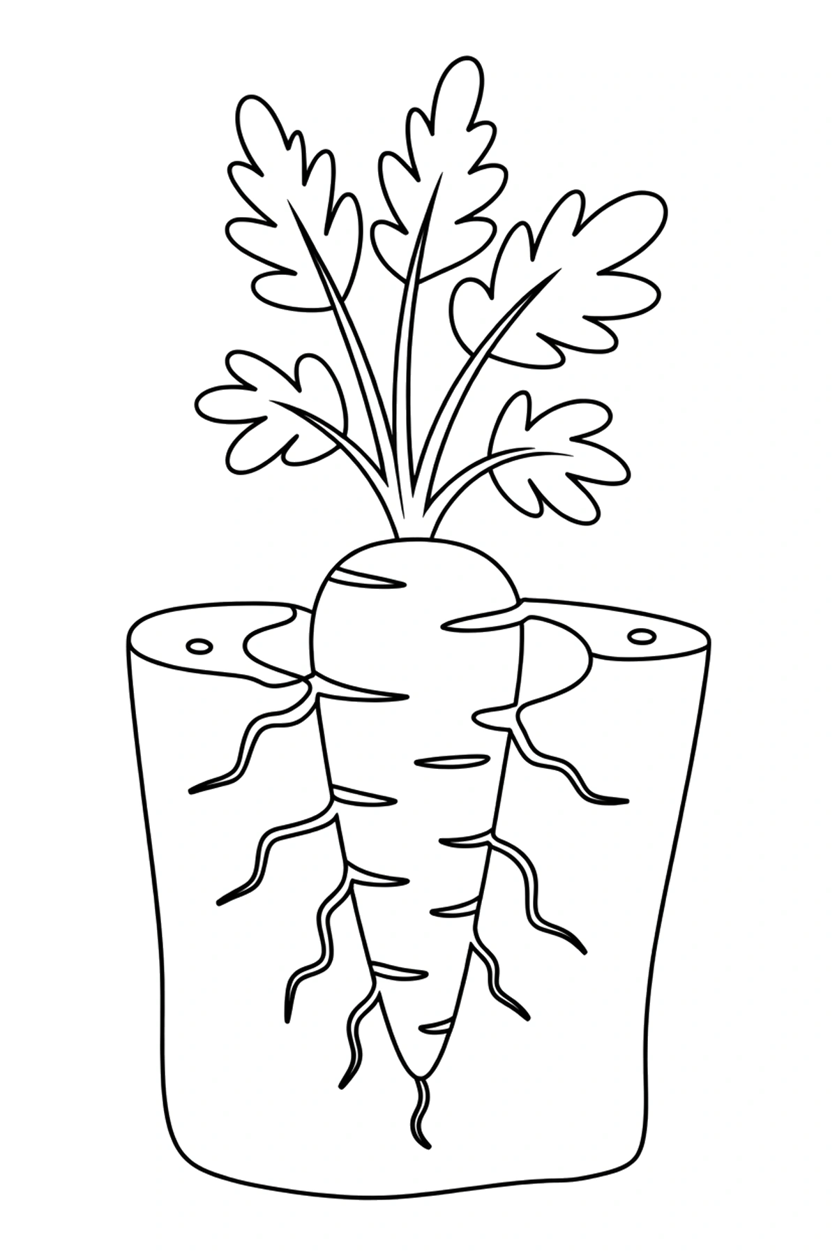 clay soil carrot coloring pages