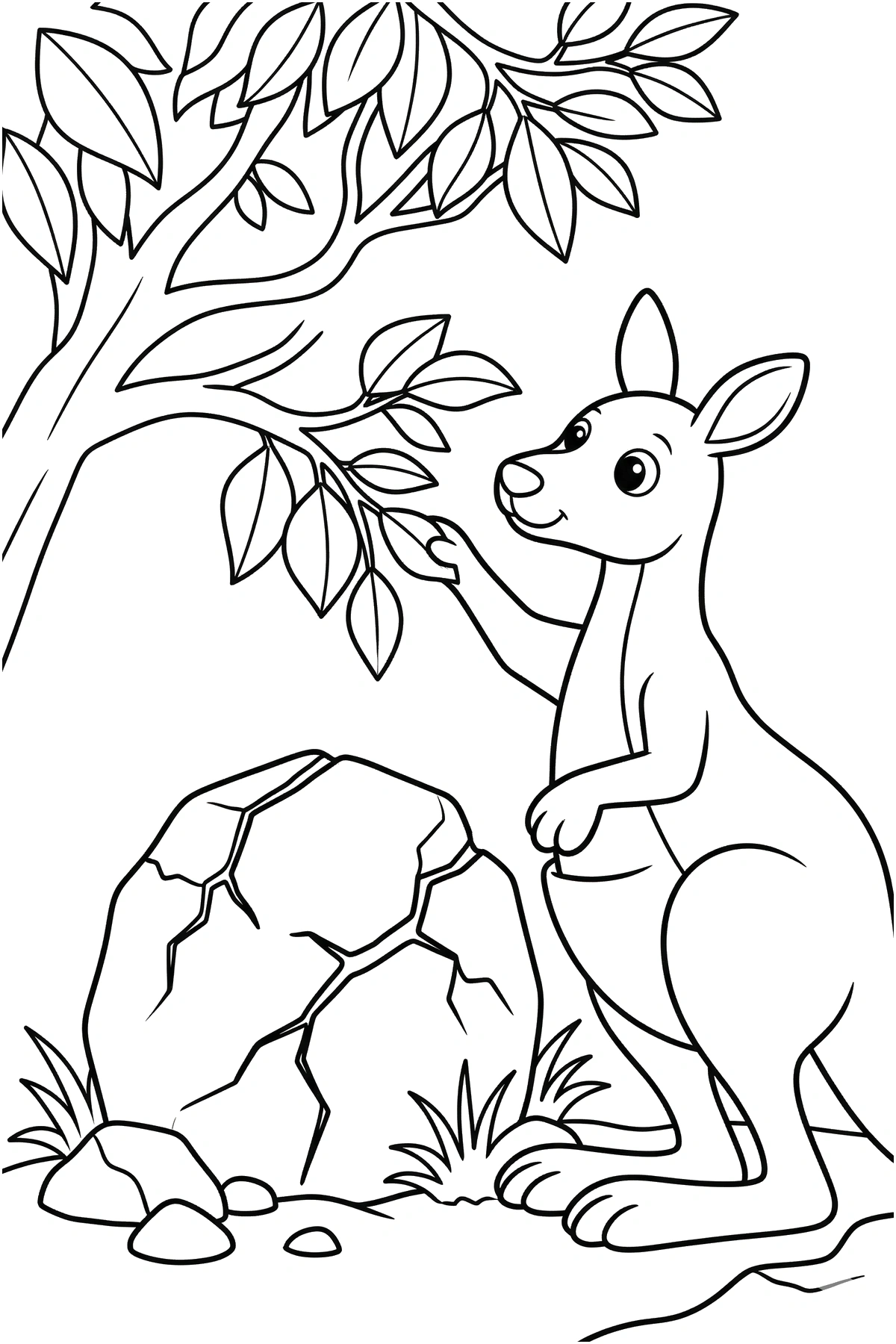 kangaroo coloring pages branch boulder