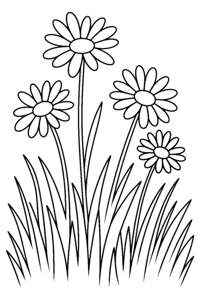 meadow grass with daisy heads coloring pages