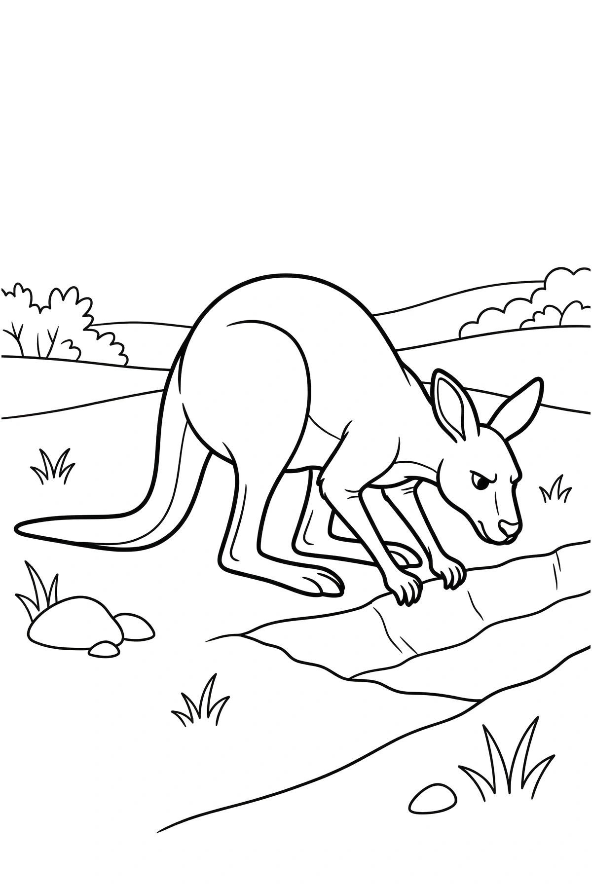printable kangaroo coloring page