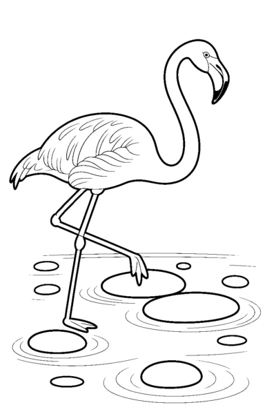 stepping stones pond surface drawing