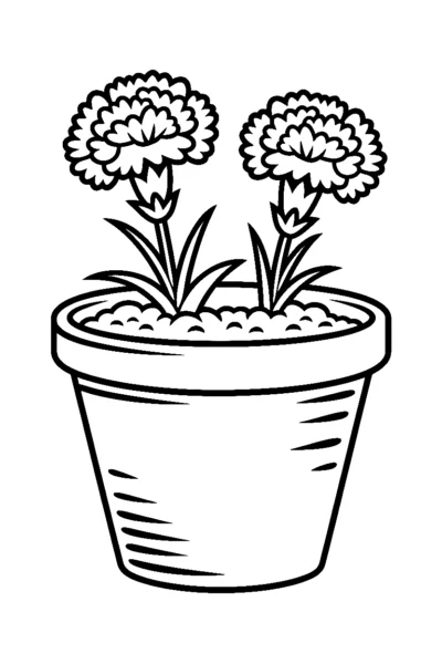 tipped planter carnation coloring pages