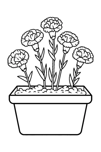 window box carnation coloring pages