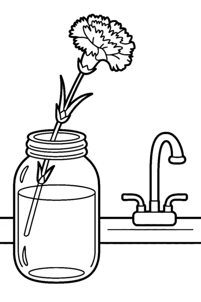 windowsill carnation coloring pages