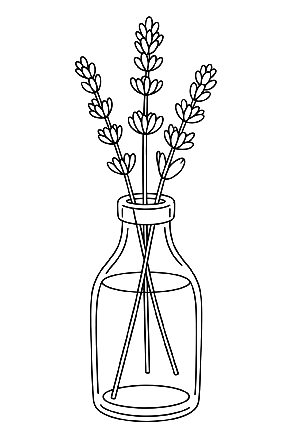 bottle lavender upright coloring pages