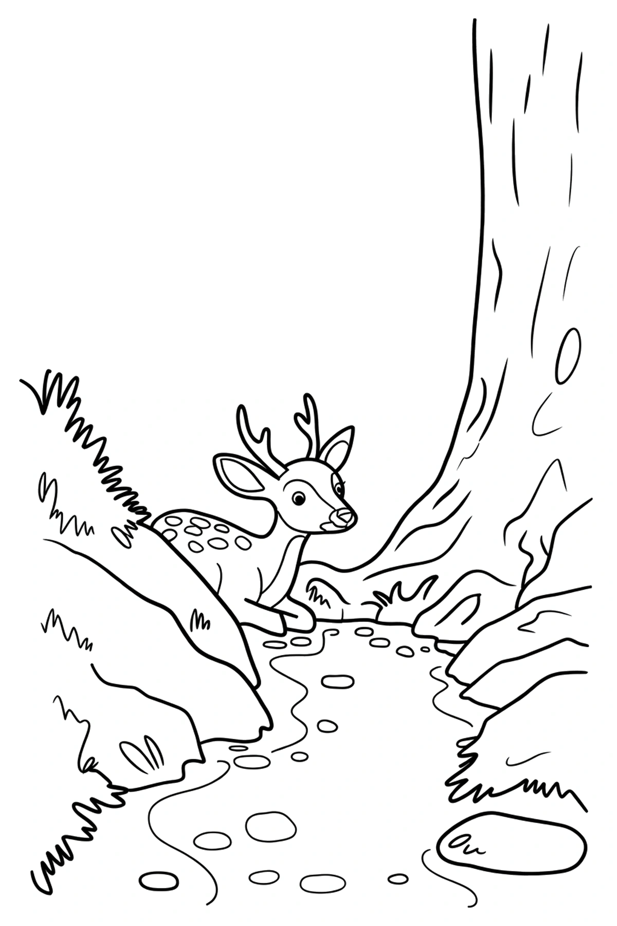 boulder trail deer coloring page