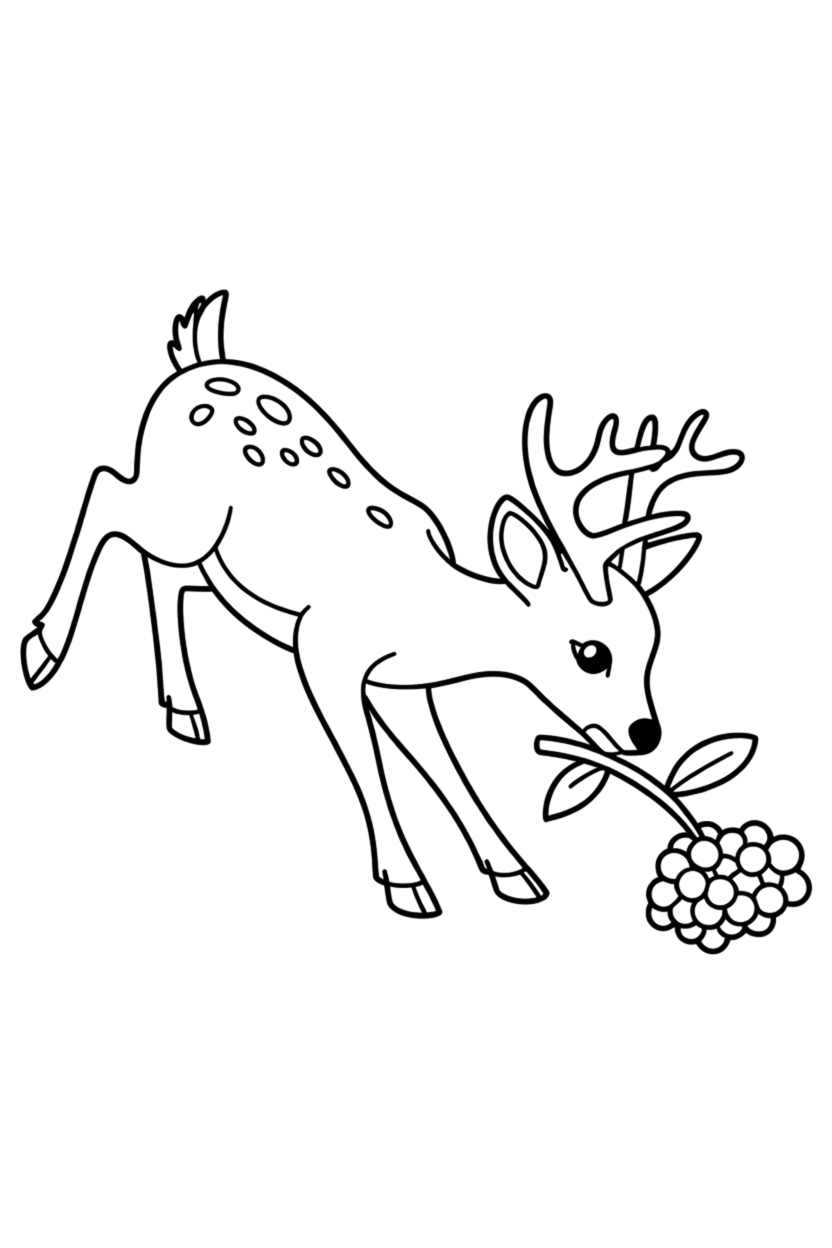 branch deer berries coloring pages