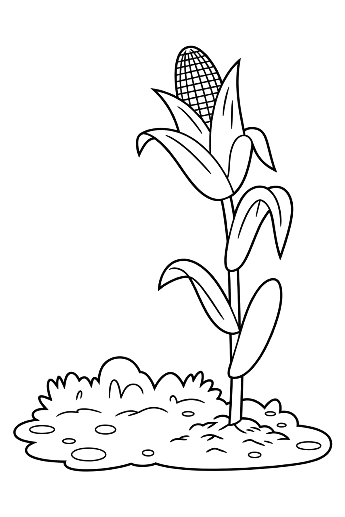 corn coloring page garden post