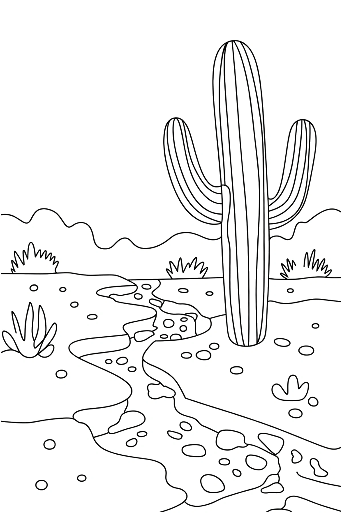dry wash cactus coloring pages