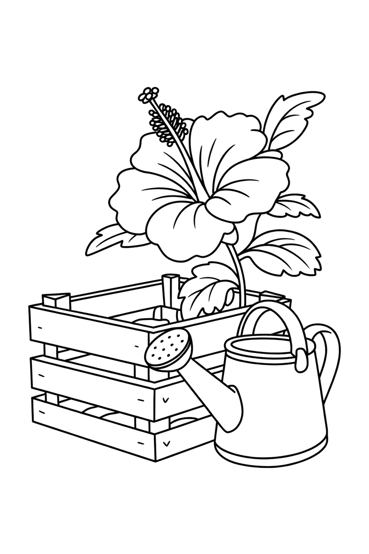 free hibiscus coloring pages