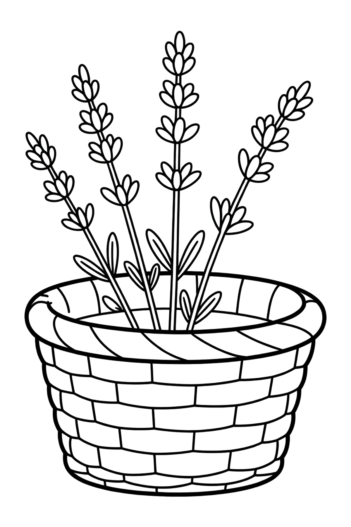 free lavender coloring pages
