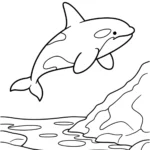 free-orca-coloring-pages