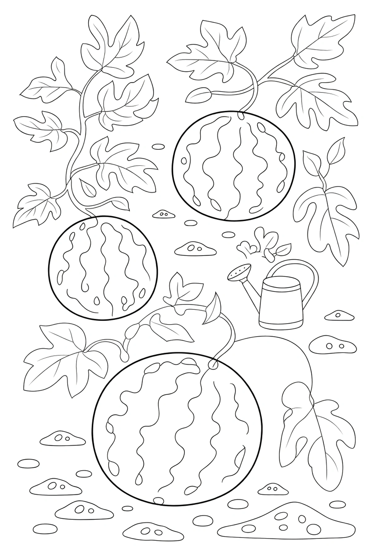 garden patch watermelon coloring sheets
