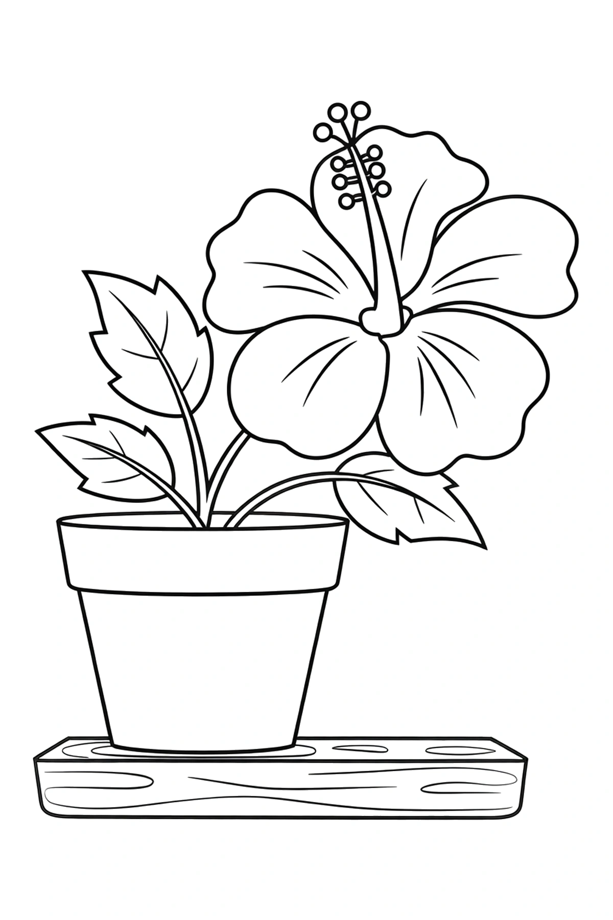 hibiscus clay pot shelf coloring page