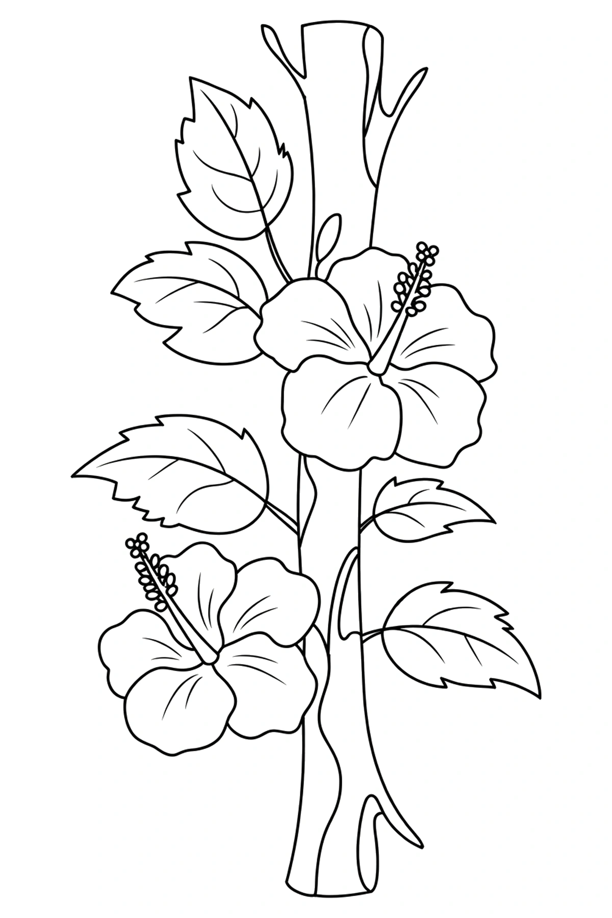 holding hibiscus tree trunk coloring pages
