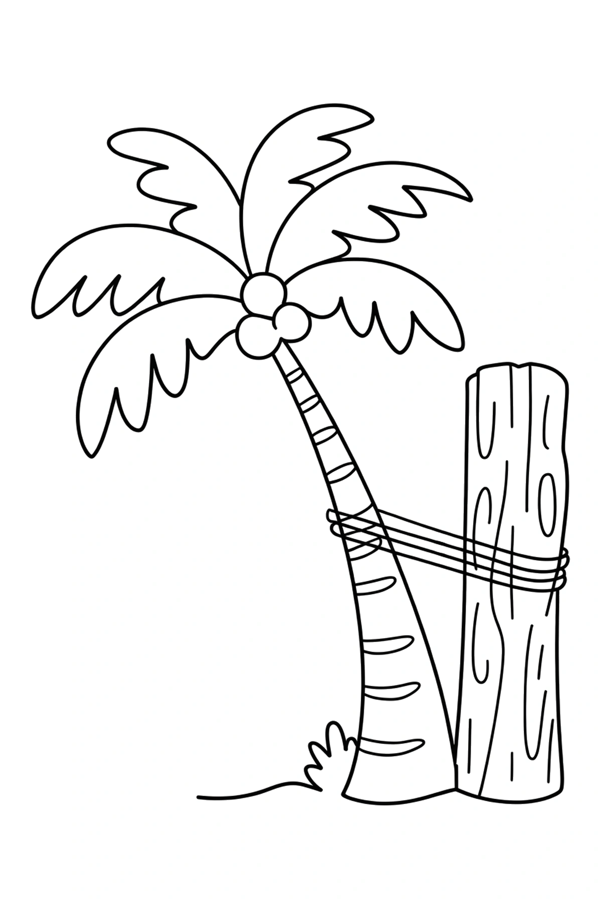 palm tree coloring pages for adults