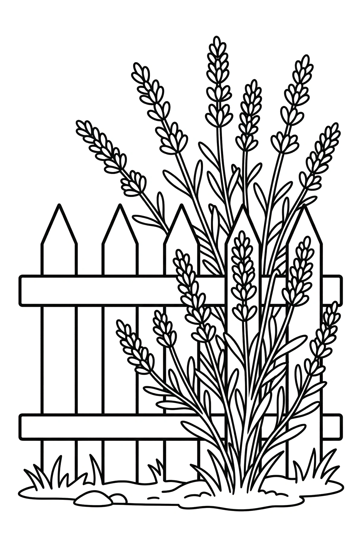 picket fence lavender coloring page