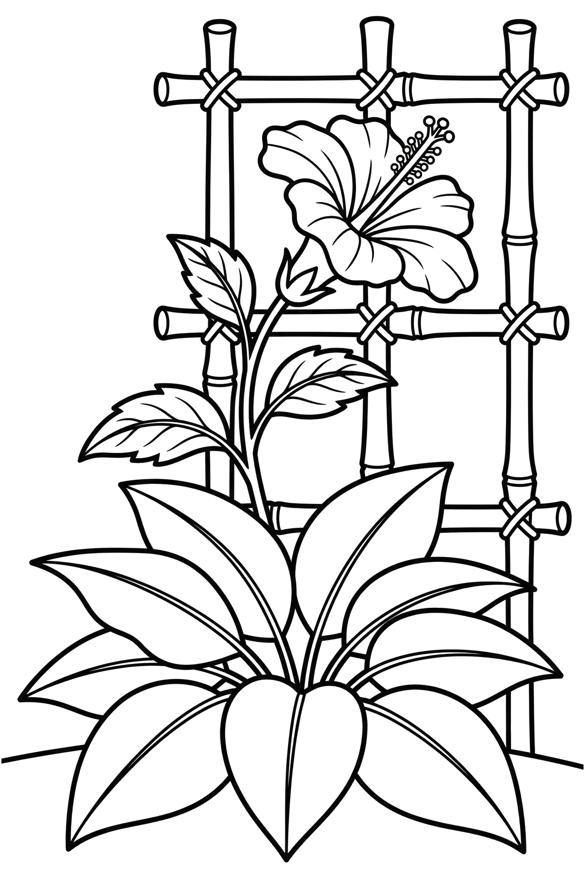 reaching hibiscus bamboo trellis coloring pages