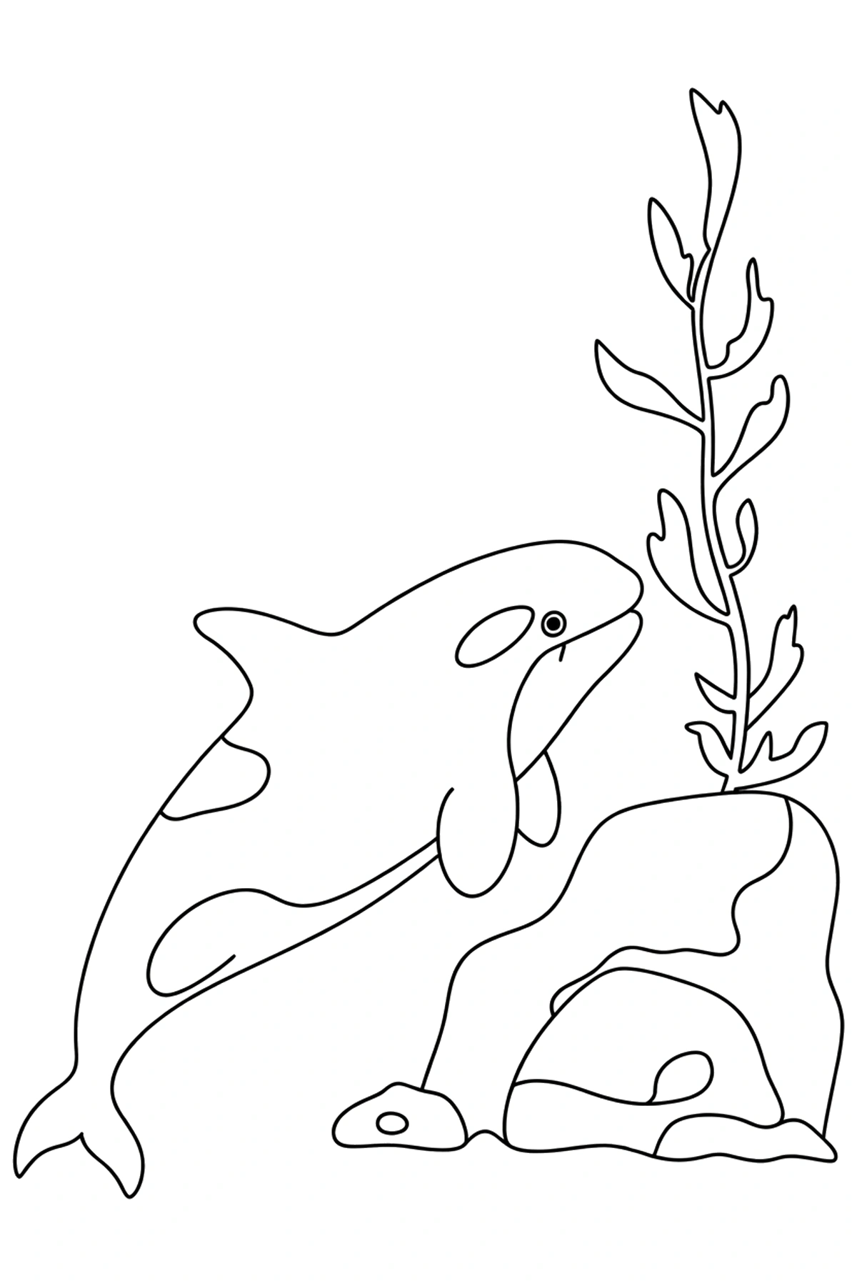 sea boulder with kelp orca coloring sheets