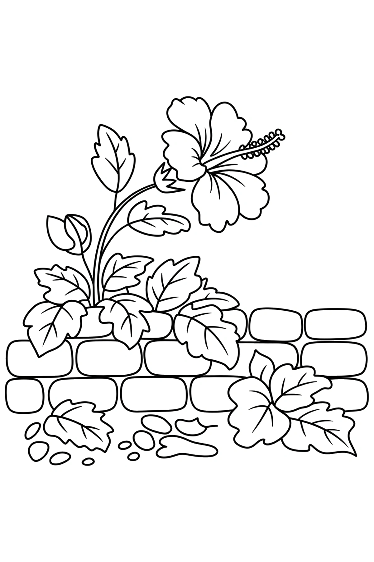 stone wall hibiscus coloring pages