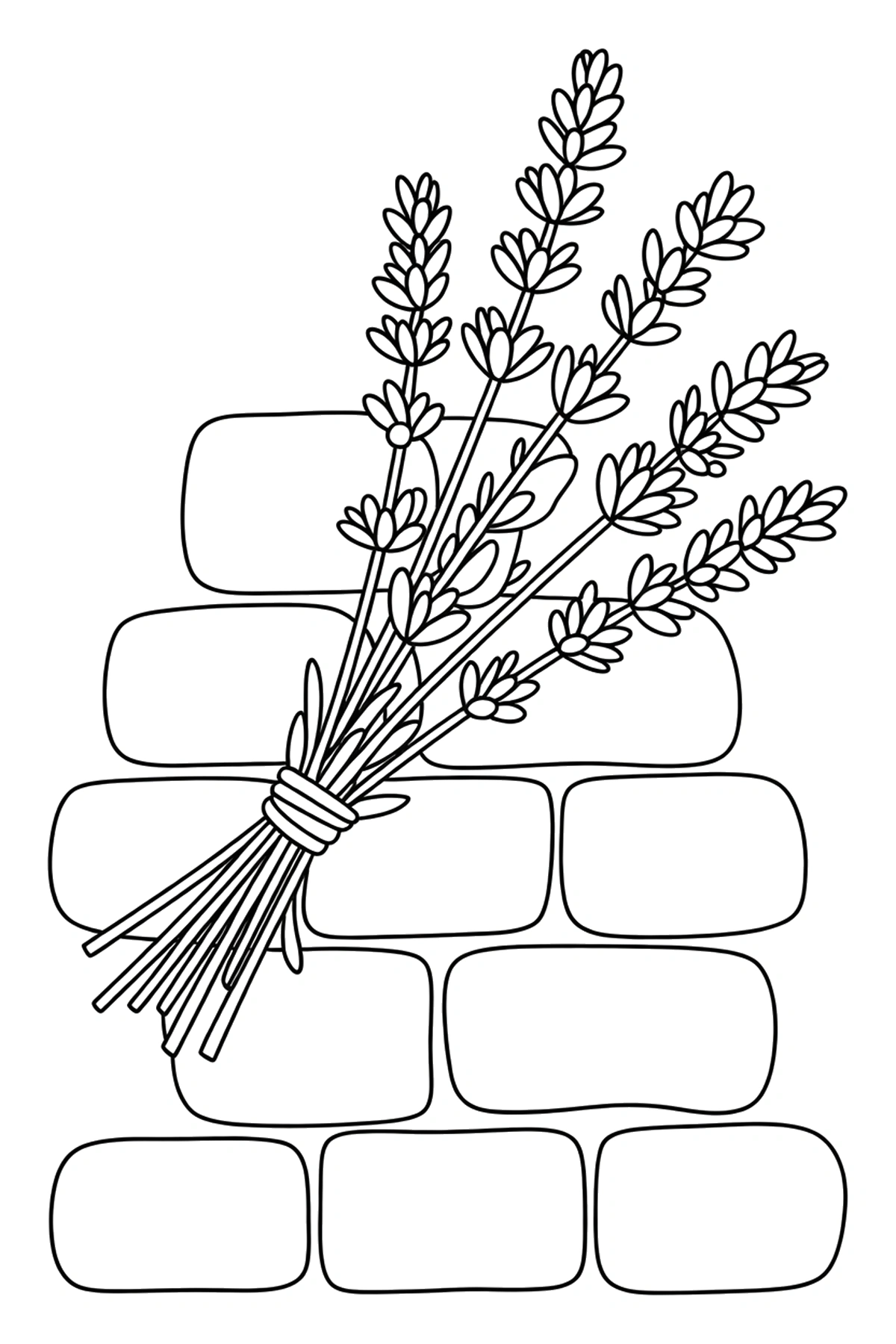 stone wall lavender coloring pages