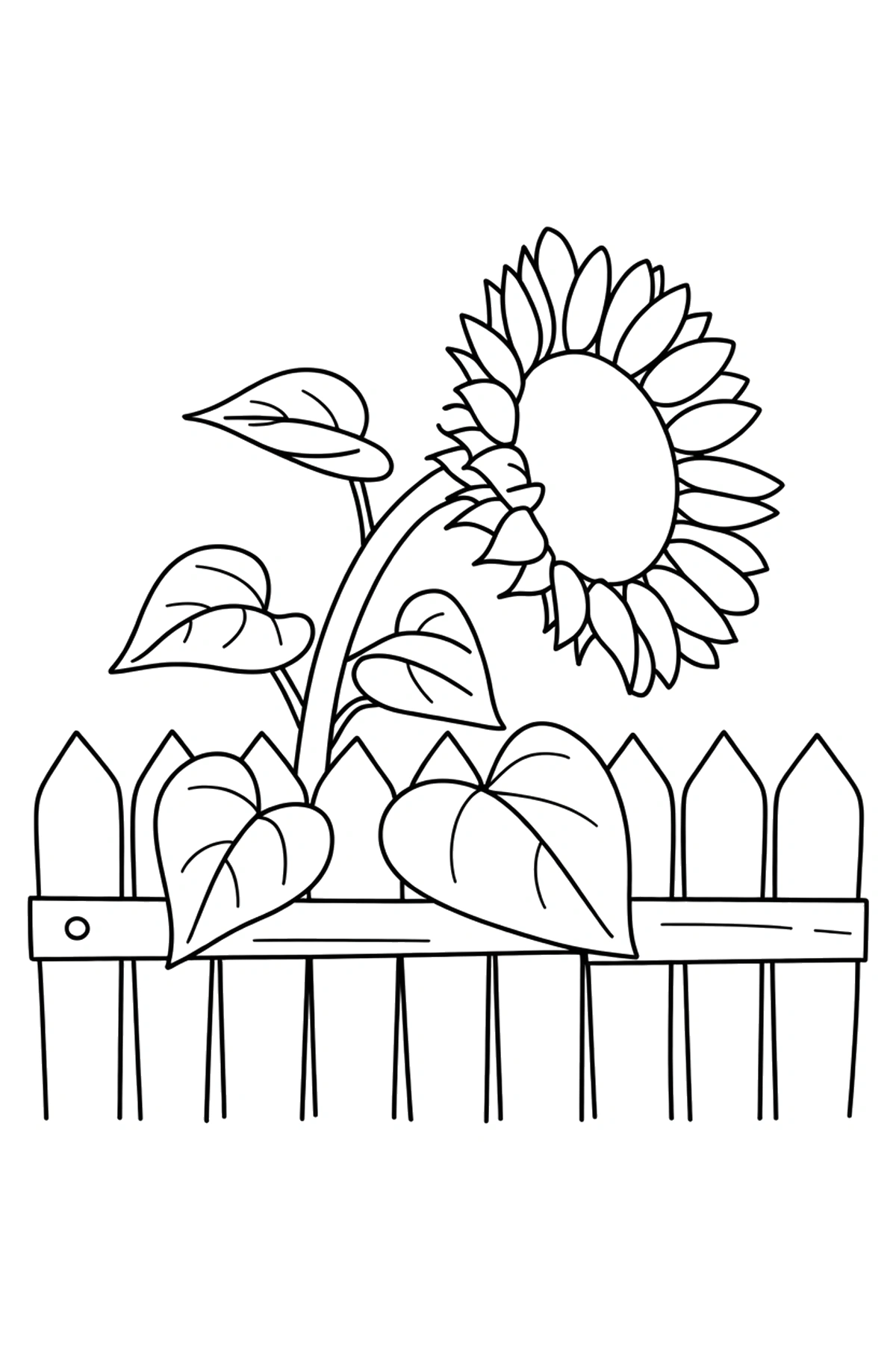 sunflower coloring pages garden fence sunflower coloring pages garden fence