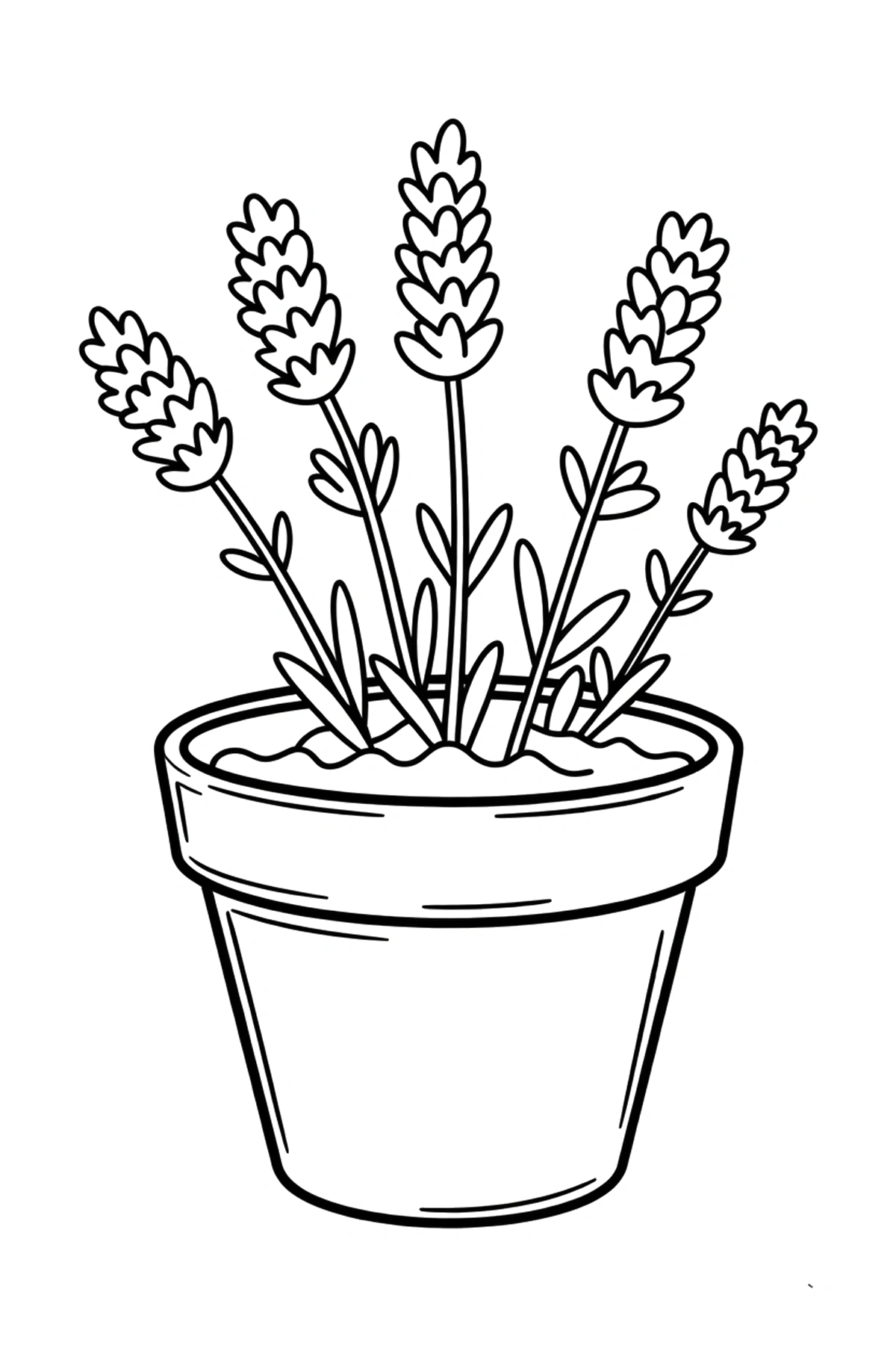 terracotta pot lavender coloring page