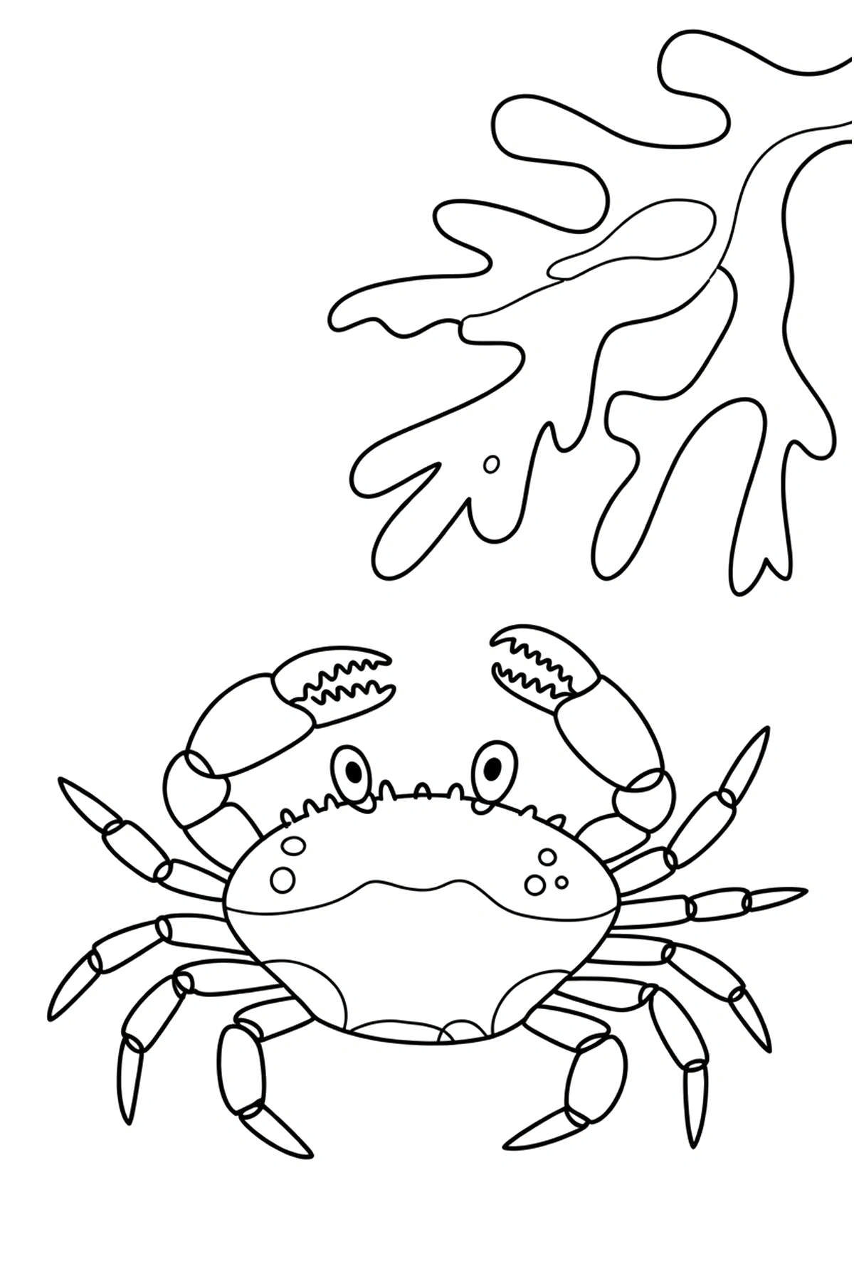 tide pool crab resting coloring pages