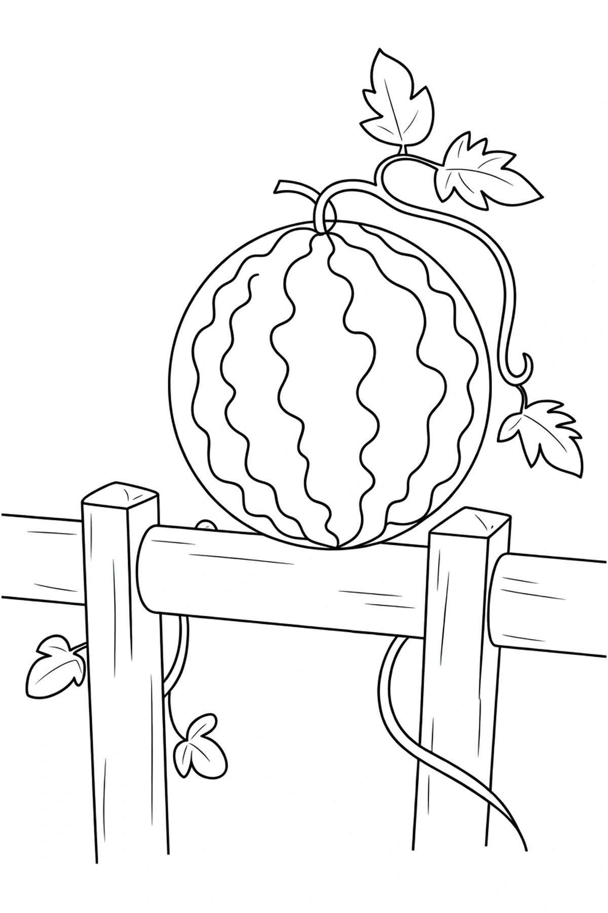 watermelon coloring sheets garden fence
