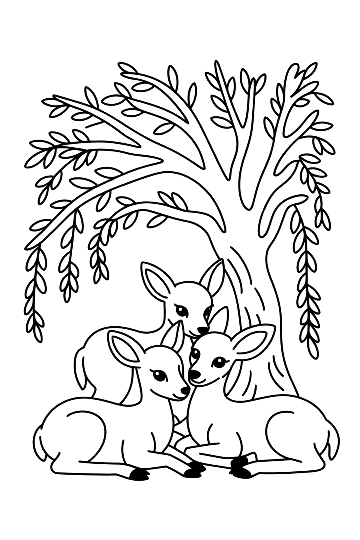 willow shade deer coloring pages