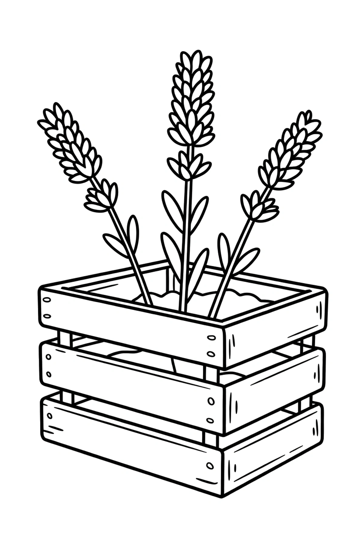 wooden crate lavender coloring pages