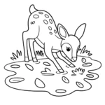 woodland-puddle-deer-coloring-pages
